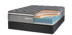 Immunity Collection Auburn Euro Top by Therapedic